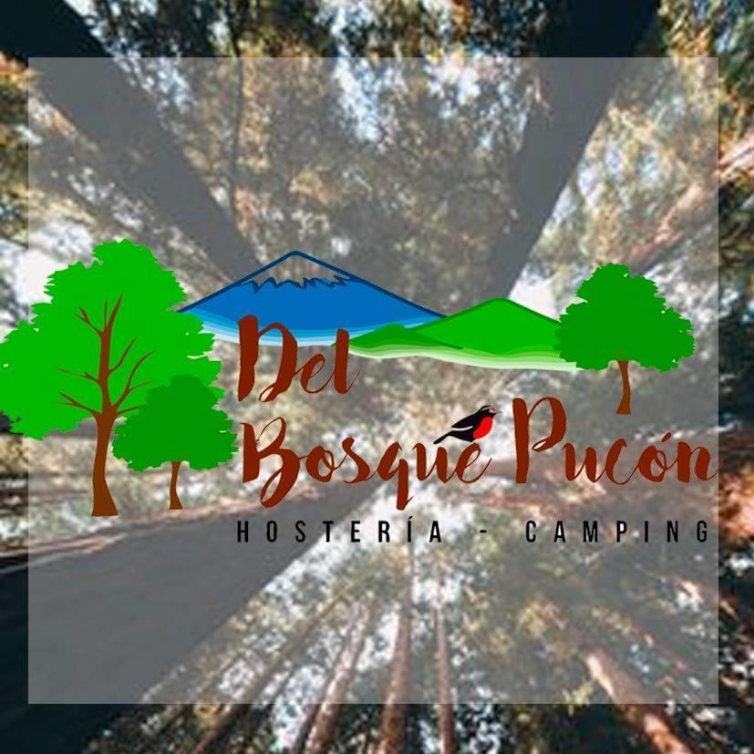 Hosteria Y Camping Del Bosque Pucón Buitenkant foto