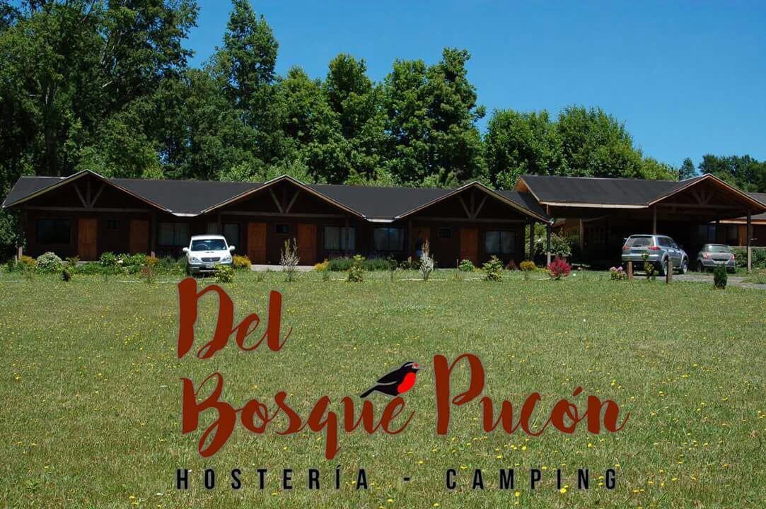 Hosteria Y Camping Del Bosque Pucón Buitenkant foto