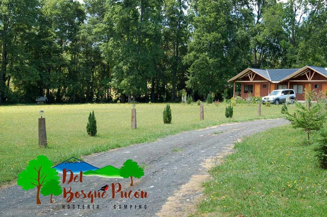 Hosteria Y Camping Del Bosque Pucón Buitenkant foto